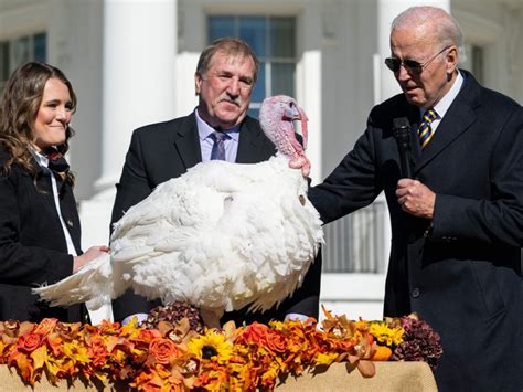 President Joe Biden issued Thanksgiving pardons to two turkeys this week during an event the mainstream media would like you to believe was a perfectly normal holiday tradition. But as a MAGA ...